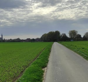 Boucle entre Tressin et Fretin - Decathlon - 4