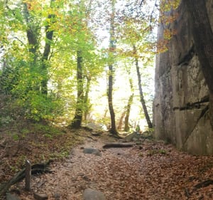 Falaise de gré d'Annot et cache cache à la Chambre du Roi - Annot - 3