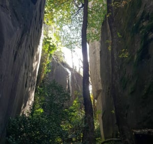 Falaise de gré d'Annot et cache cache à la Chambre du Roi - Annot - 5