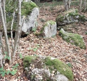 De warmwaterbronnen van Mérens-les-Vals - Mérens-les-Vals - 3