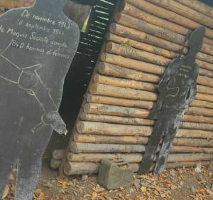 Sur les traces du maquis et des champis - Anost - 4