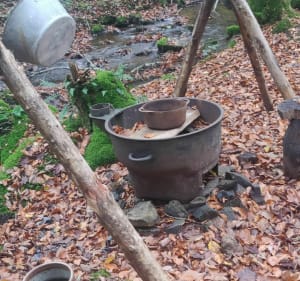 Sur les traces du maquis et des champis - Anost - 5