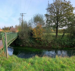Le sentier de la Ternoise en variante période de chasse, dans la forêt d'Hesdin - Hesdin - 5