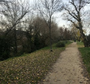 Promenade du matin à travers les vignes et oliviers - Nyons - 4