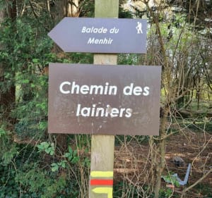 Balade tranquille autour de Maing - Maing - 5