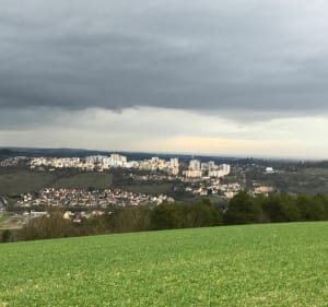 Randonnée dans les combes de Dijon - Dijon - 3