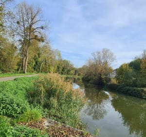 Promenade sur les berges de l'Allan - Montbéliard - 3