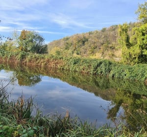 Promenade sur les berges de l'Allan - Montbéliard - 5