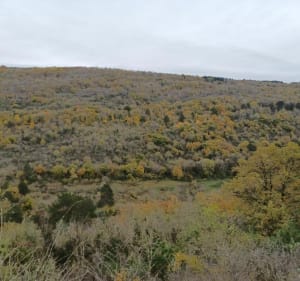 Moncel, le sentier des vieilles vignes et le Chapeau de Gendarme - Val-Revermont - 3