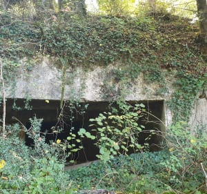 Balade des carrières a Saint-Quentin-de-Baron - Saint-Quentin-de-Baron - 4