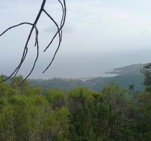 Rocher des Monges depuis Theoule - Théoule-sur-Mer - 5