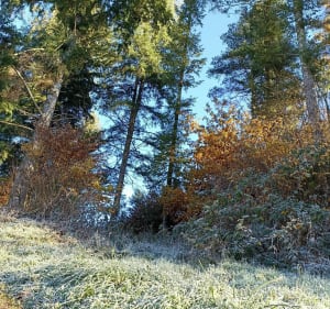 Boucle rouge du village de Villac - Villac - 3