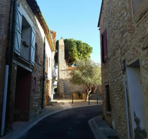 Méli-mélo sur Saint Jean Lasseille et Banyuls des Aspres - Saint-Jean-Lasseille - 3