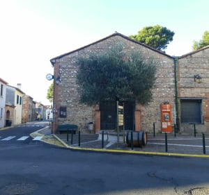 Méli-mélo sur Saint Jean Lasseille et Banyuls des Aspres - Saint-Jean-Lasseille - 4