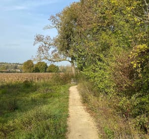 Balade mi fleuve, mi champs dans l'Oise - Maurecourt - 3