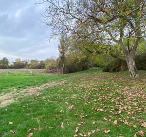 Balade mi fleuve, mi champs dans l'Oise - Maurecourt - 5