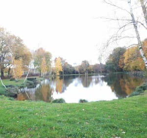 Circuit Saint Eloi - Chaptelat - Chaptelat - 3