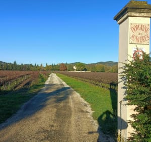 VTT au pied du château de Gicon - Bagnols-sur-Cèze - 3