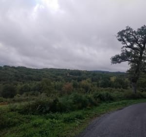 Balade jusqu'à la Gartempe par le Mas de Bersac - Bessines-sur-Gartempe - 3