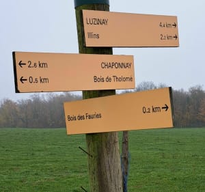 Boucle du Caron entre Luzinay et Vilette - Luzinay - 3