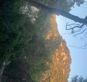 Beklimming van Faron door de PR vanuit Saint Roch - Toulon - 6