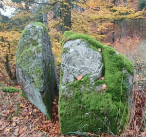Boucle à partir de la maison forestière de Wintzfelden - Decathlon - 5