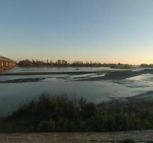 Entre deux ponts - Mauves-sur-Loire - 4