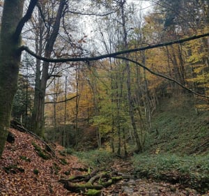 Boucle au Guizay par le barrage de l'Ondenon - Planfoy - 4