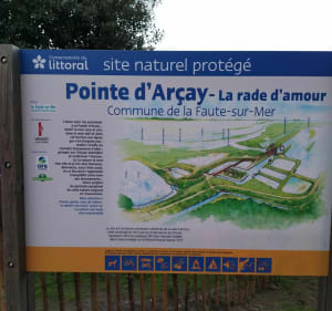 Balade de l'Aiguillon au parking de la Rade d'Amour - L'Aiguillon-la-Presqu'île - 3