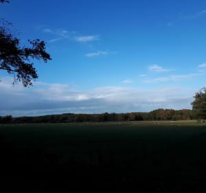 Circuit de la Montjoie à Blond - Decathlon - 3