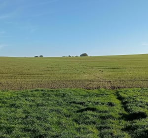 Balade d'Ecrainville du côté de La Pastourelle - Cuverville - 4