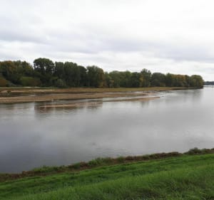 Balade au bord de la Loire - Sandillon - 3
