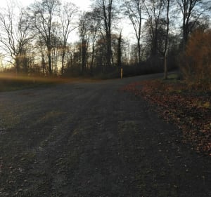 Balade dans la forêt domaniale d'Hesdin - Guisy - 5