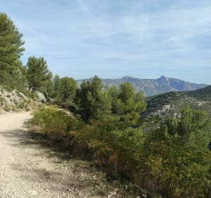 Belle rando autour d'Aubagne, Carnoux, la Bédoule, Gémenos - Aubagne - 5