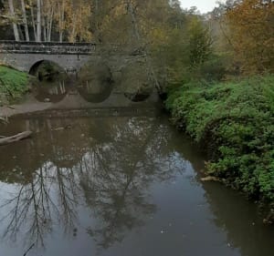 Vallée du Couesnon - Mézières-sur-Couesnon - 3
