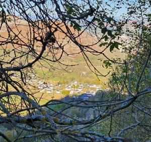 Belle balade vallée de Batsurguère - Ségus - 4