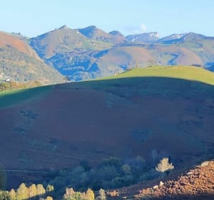 Belle balade vallée de Batsurguère - Ségus - 5