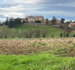 De Belmont-d’Azergues à Lozanne - Belmont-d'Azergues - 4