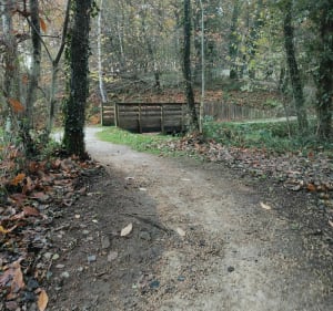 Sentier du lac de Miel - Beynat - 3