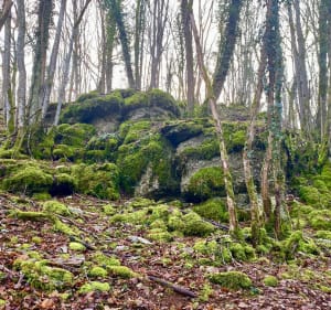Source de Crosne et combe du pré - Marsannay-la-Côte - 4