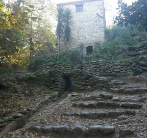 Au fil de l'eau de Laroque-des-Albères - Laroque-des-Albères - 5