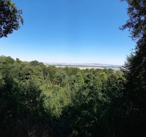 Mont Sinaï - Villers-Marmery - 3