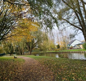 Promenade autour de Béthune par le canal et les étangs - Béthune - 4