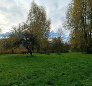Promenade autour de Béthune par le canal et les étangs - Béthune - 5
