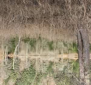 Lac d'Alfeld - Masevaux-Niederbruck - 3