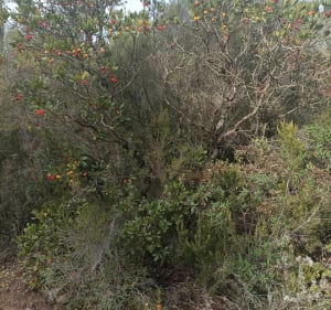 Balade au ravin des Lauriers - Puget-sur-Argens - 5