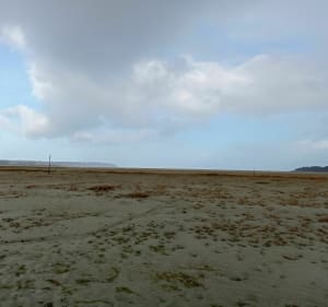 Traversée de la réserve ornithologique de la baie de Saint-Brieuc - Langueux - 5
