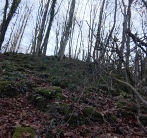 Les Roches Aigues dans le Bois de Rosnay - Lavigny - 4