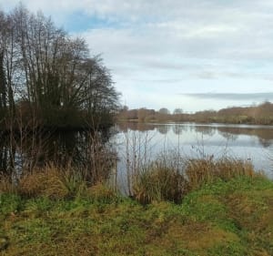 Belle balade au bord des étangs de Mont et du canal latéral - Beaulon - 4