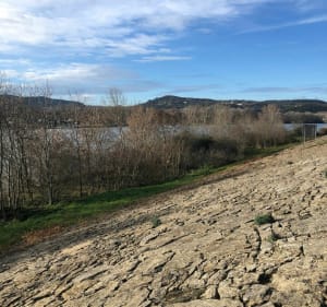Balade au Lac de grande île à Châteauneuf du Rhône - Châteauneuf du Rhône - 3